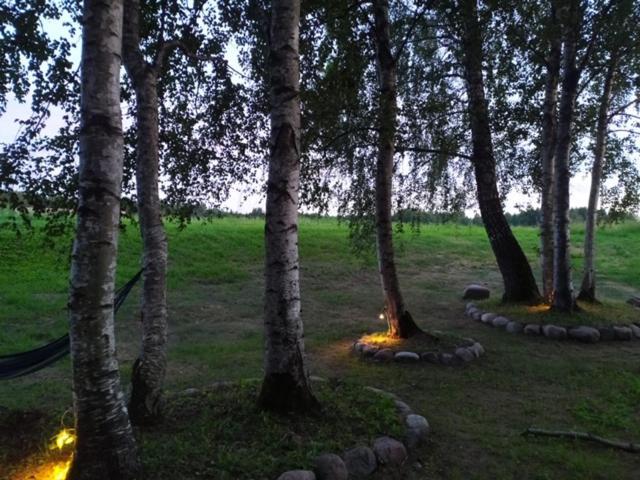 Caloroczny Domek Letniskowy Ze Stawem Villa Harsz Buitenkant foto